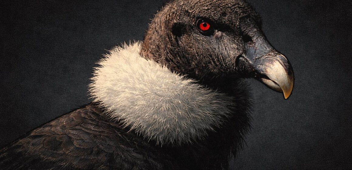 isabel tamayo en la alta montaña isabel tamayo en la alta montana